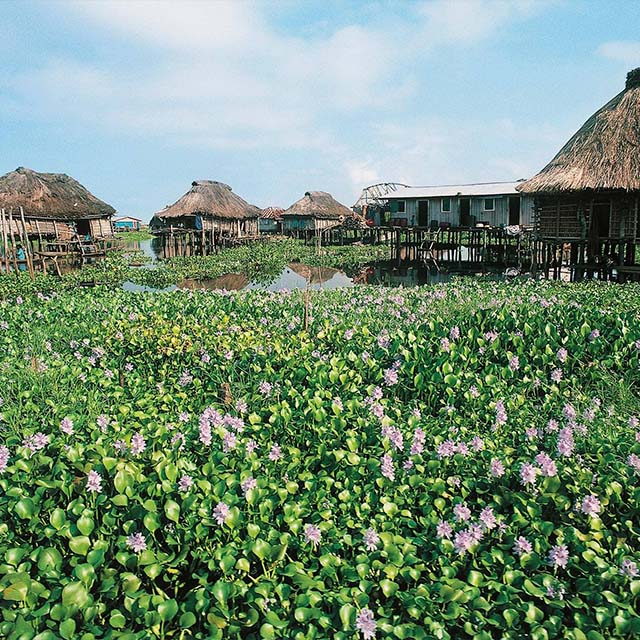 Benin
